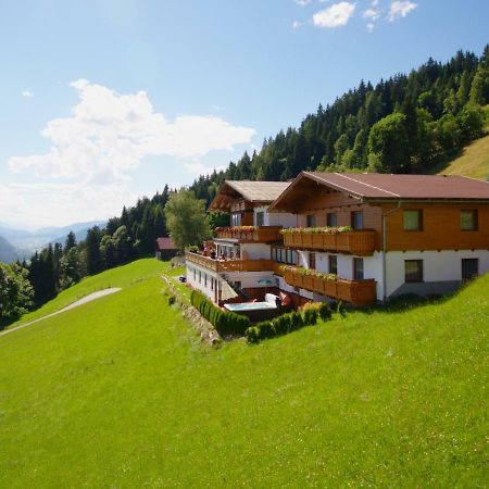 Pension Bergbauernhof Irxner Pichl-Preunegg Kültér fotó