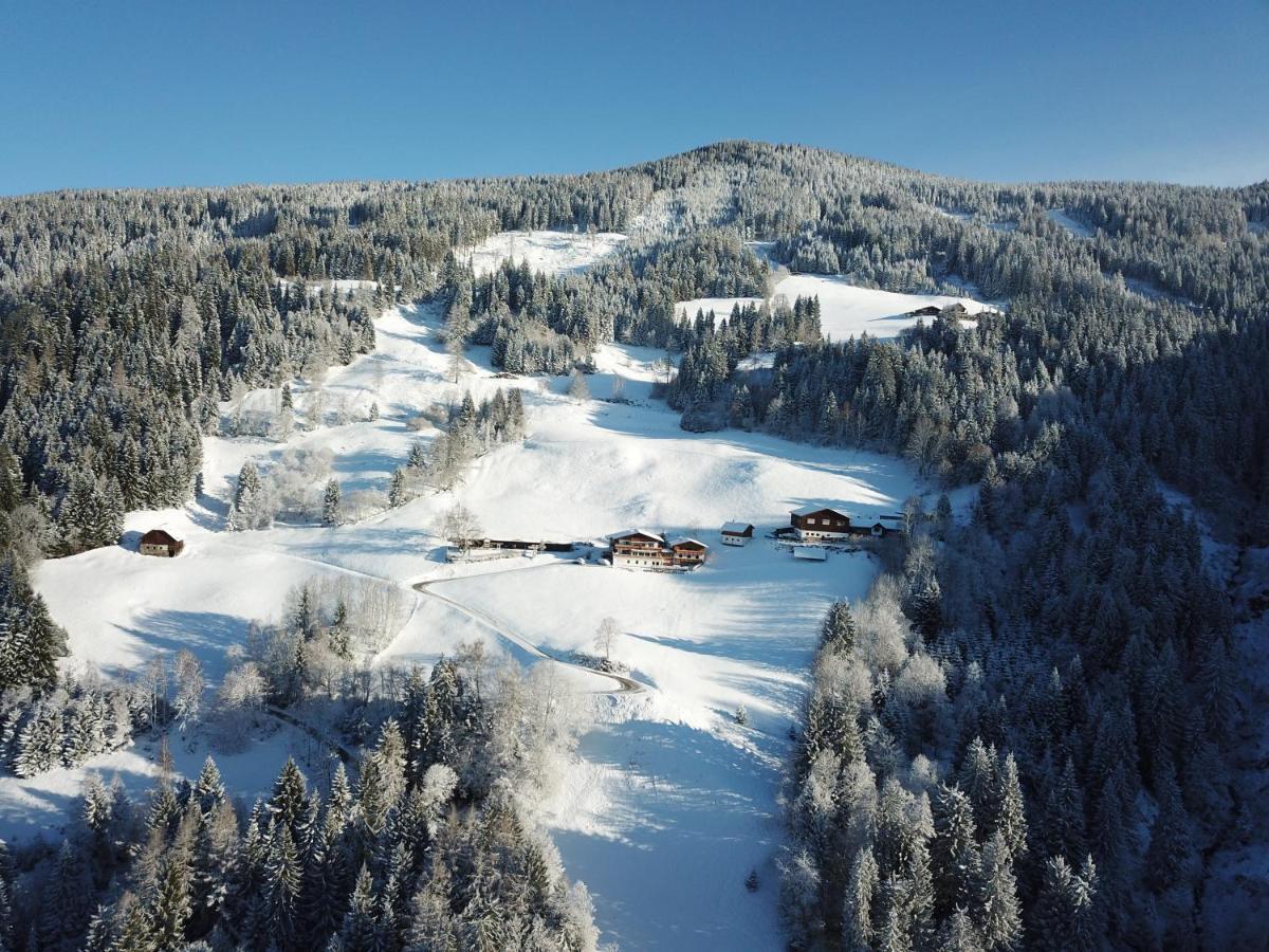 Pension Bergbauernhof Irxner Pichl-Preunegg Kültér fotó